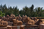 Mamallapuram - Tamil Nadu. The Shore Temple.